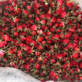 غنچه رز خشک شده