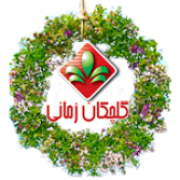 گلچکان زمانی