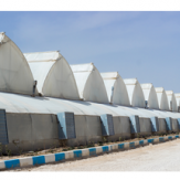 فیلم نایلون مخصوص گلخانه